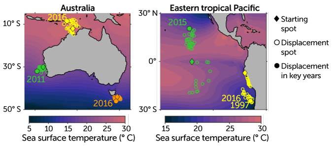 Thermal displacement of marine species due to ocean heat waves, 1982–2019