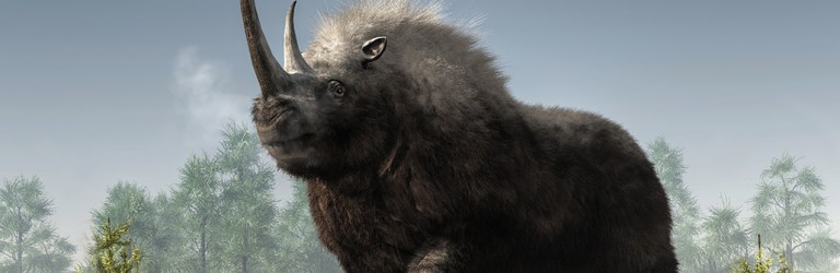 illustration of a woolly rhino