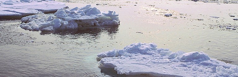 Bering Sea ice
