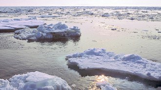Bering Sea ice