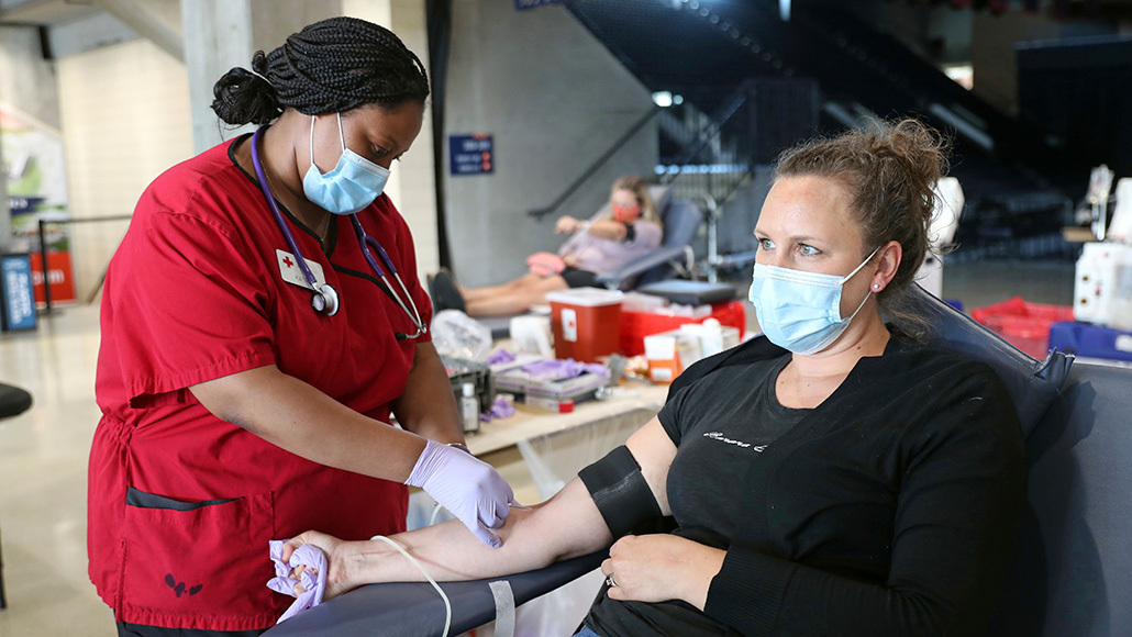 Person donating blood