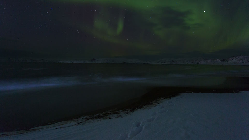 Arctic winter under northern lights