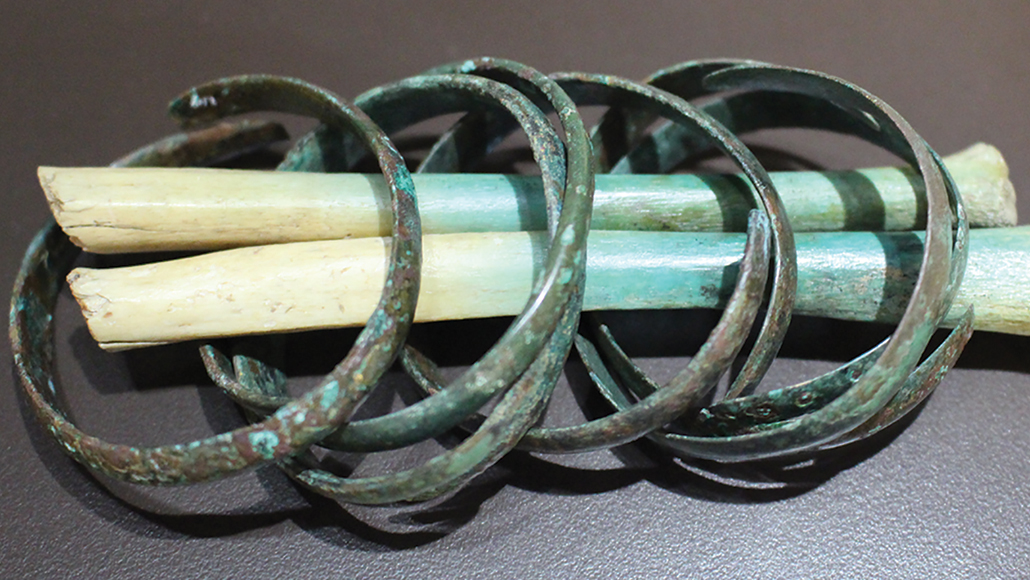 bones from ancient Iberian massacre