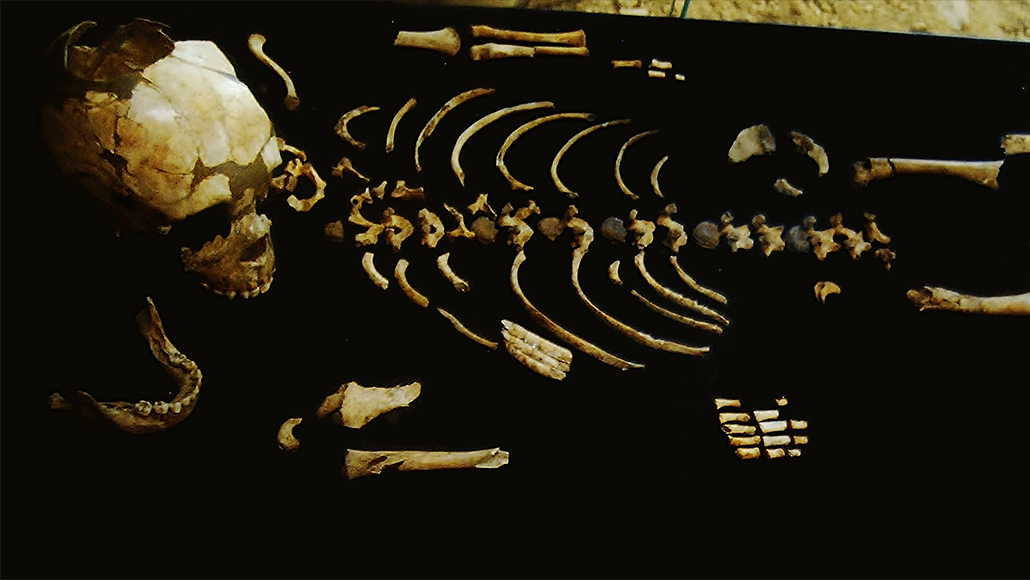 Neandertal partial skeleton
