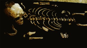 Neandertal partial skeleton