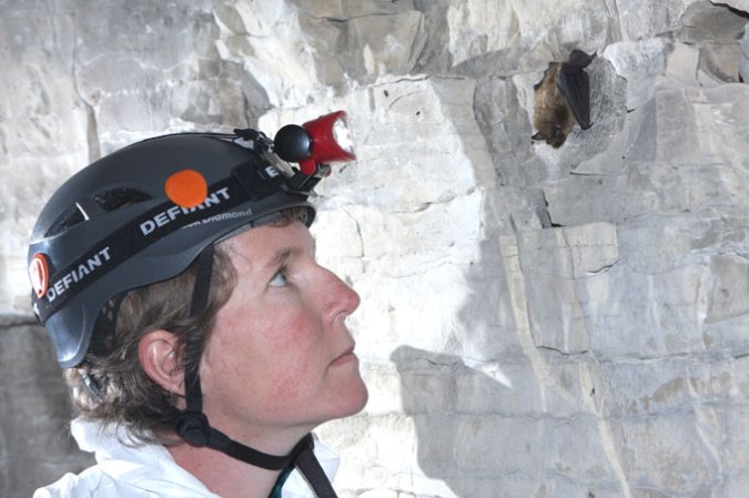 Biologist Winifred Frick