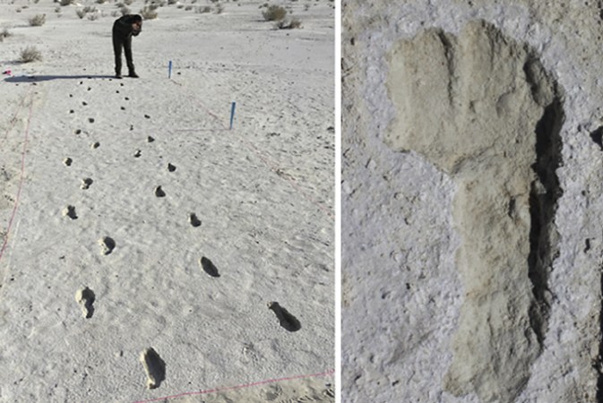 fossilized human footprints