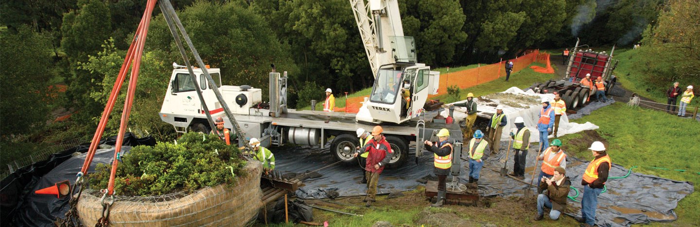a photo of the transplant process of the giant shrub