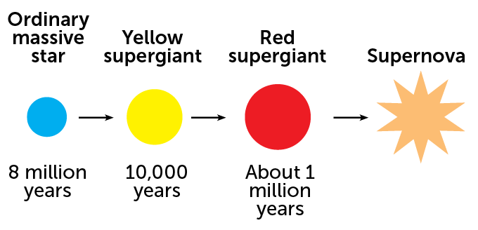 a diagram showing the lifecycle of Betelgeuse