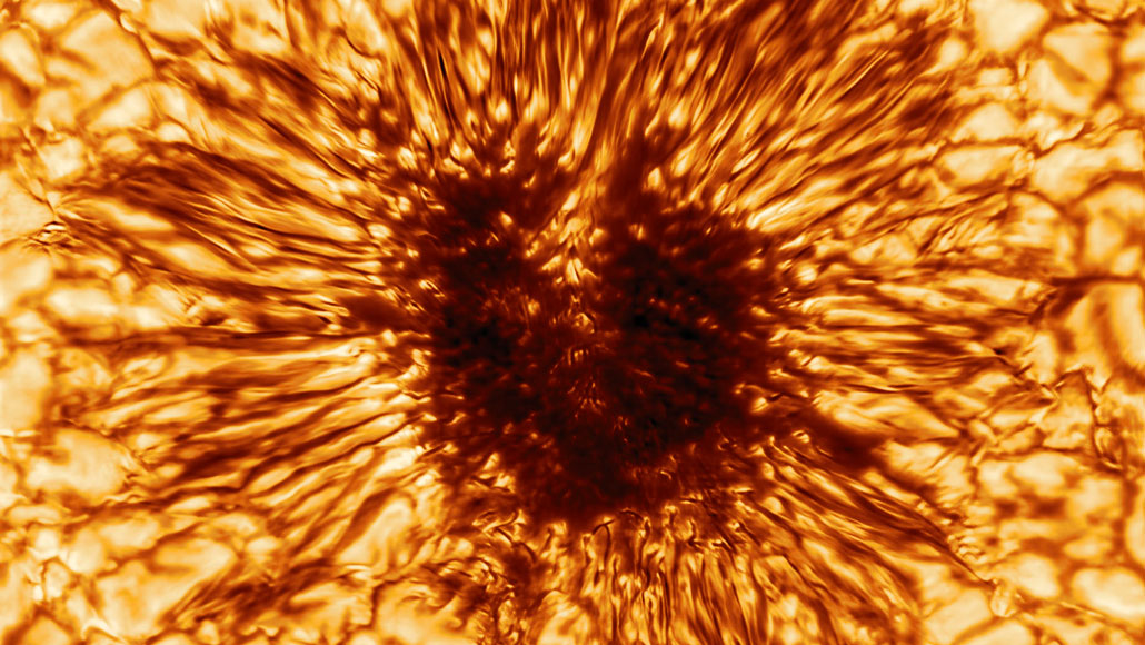 This new image reveals a sunspot in unrivaled detail