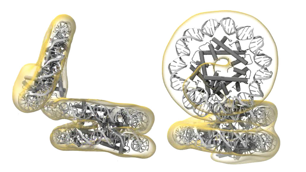 illustration of slinky structures in archaea dna