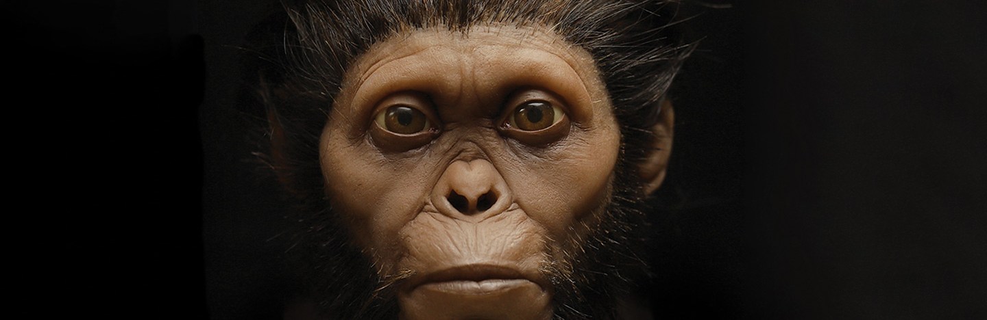a dramatic reconstruction of an ancient hominid face with coarse black hair
