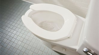 a toilet