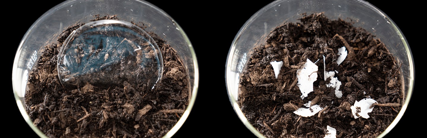 before and after images of dish of compost breaking down plastic