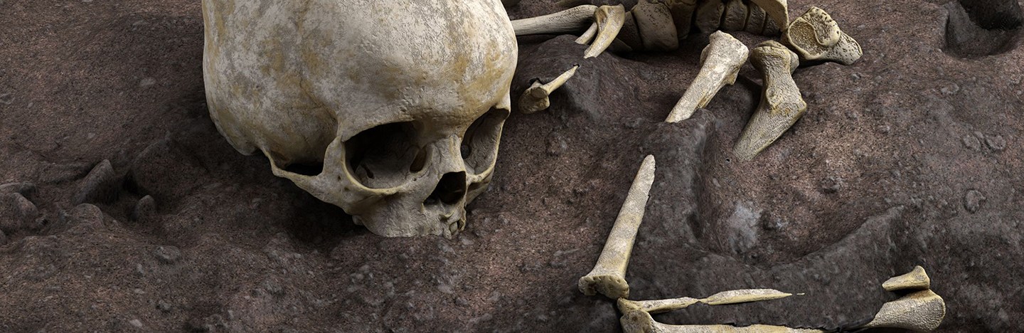 virtual reconstruction of child's bones