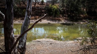 image of the Gwydir River