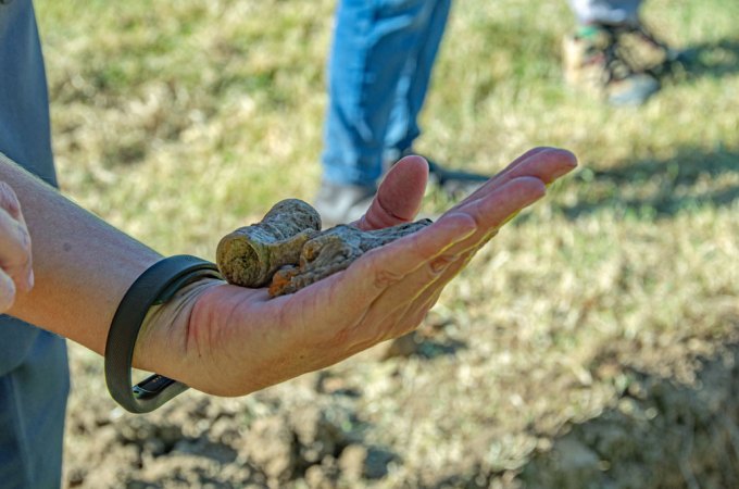 hand holding a coffin handle