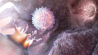 illustration of an egg bursting out of an ovary