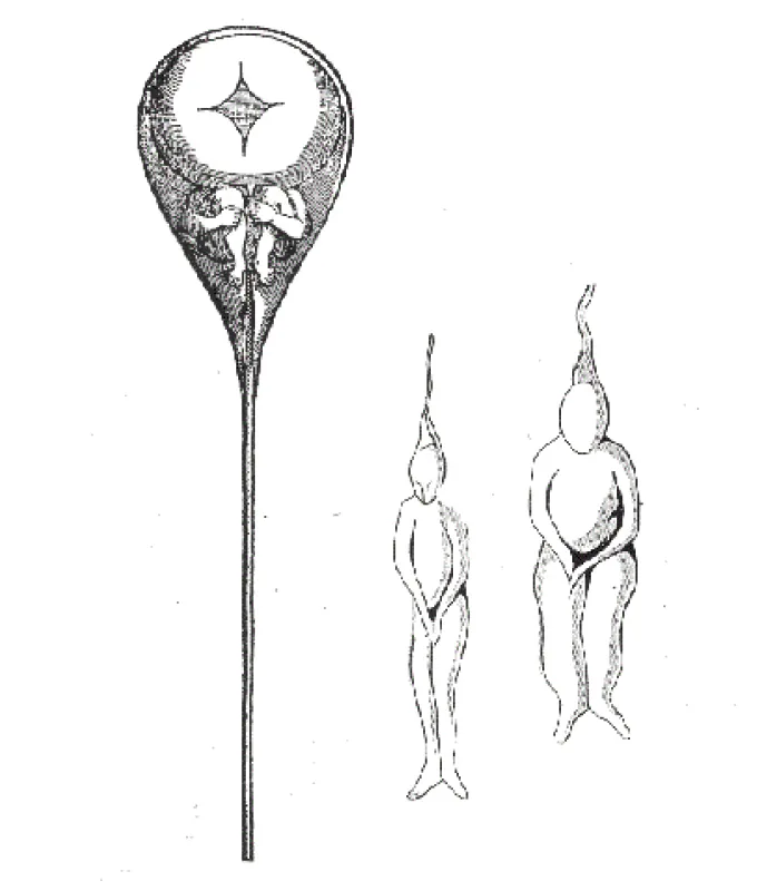 black and white illustration of humans growing inside a sperm