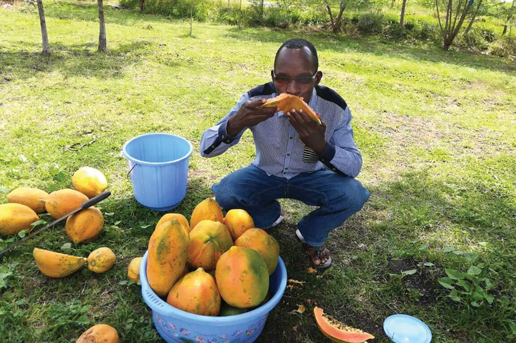 a Kenran farmer squats and snacks on papaya