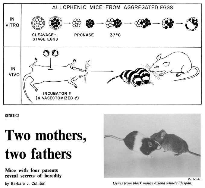screen shot of Science News article with the headline, "Two mothers, two fathers"