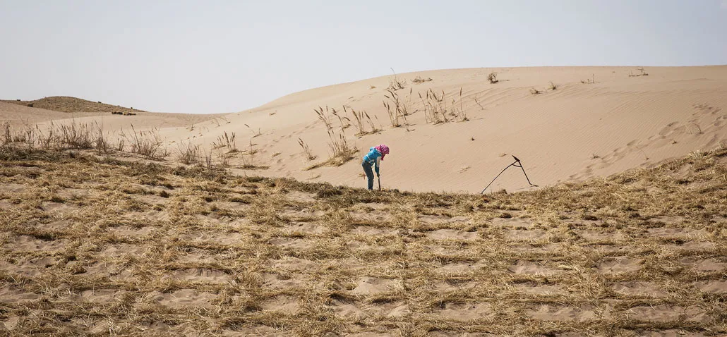 a wide photograph of a desert, with a woman in the center dropping straw