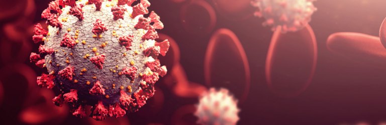 illustration of coronavirus particles in blood