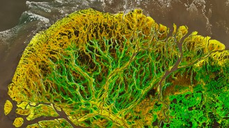 visualization of Alaska’s Yukon Delta