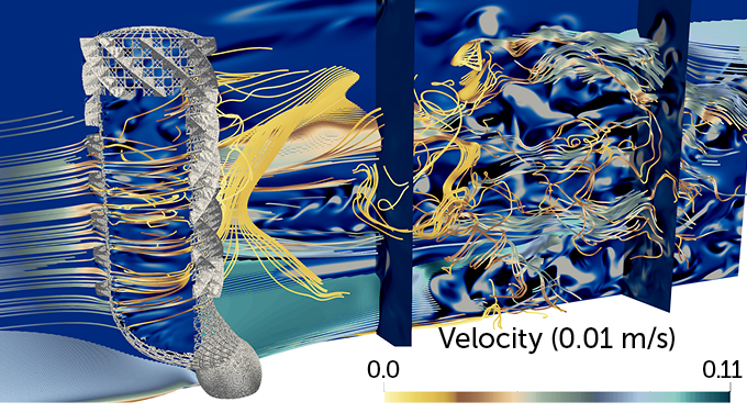 simulation of water flow through a Venus’s-flower-basket sea sponge