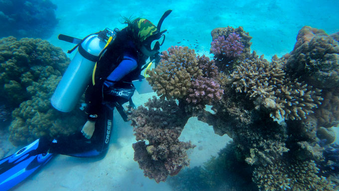 Raquel Peixoto scuba diving and collecting corals