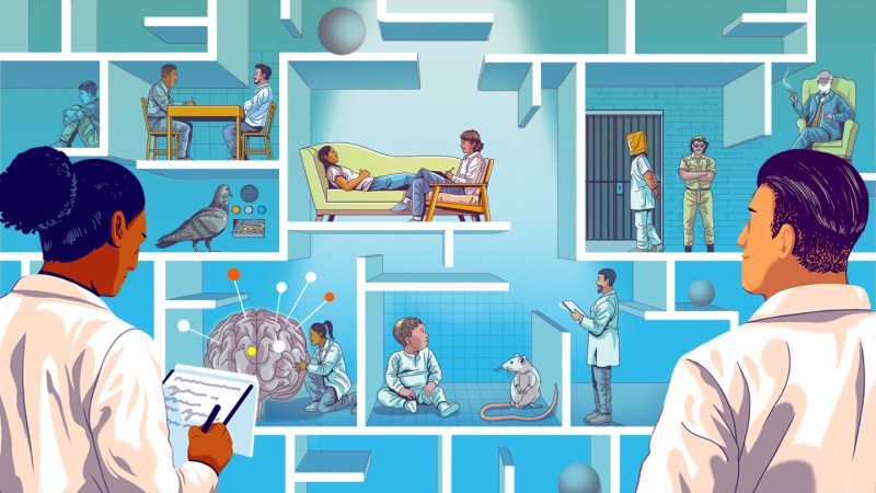 illustration of two scientists looking at boxes depicting famous psychology experiments