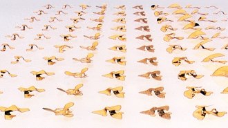 rows of microfliers