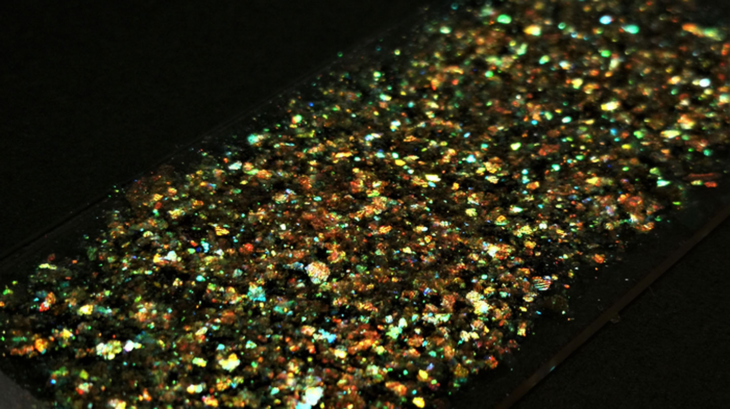 Greener Glitter 100% Not Plastic, No Guilt Biodegradable And Fully Compostable Eco Ocean Safe Zero Waste Multi Pack Fine Grain Red Green Gold And Silver 40 G Total