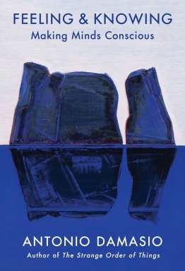 cover of Feeling & Knowing book