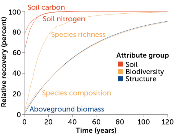 a chart showing relative recovery of various aspects of tropical forests over time. Soil carbon, soil nitrogen, species richness, species composition and aboveground biomass all have very rapid initial recovery rates and start to level off after a few decades