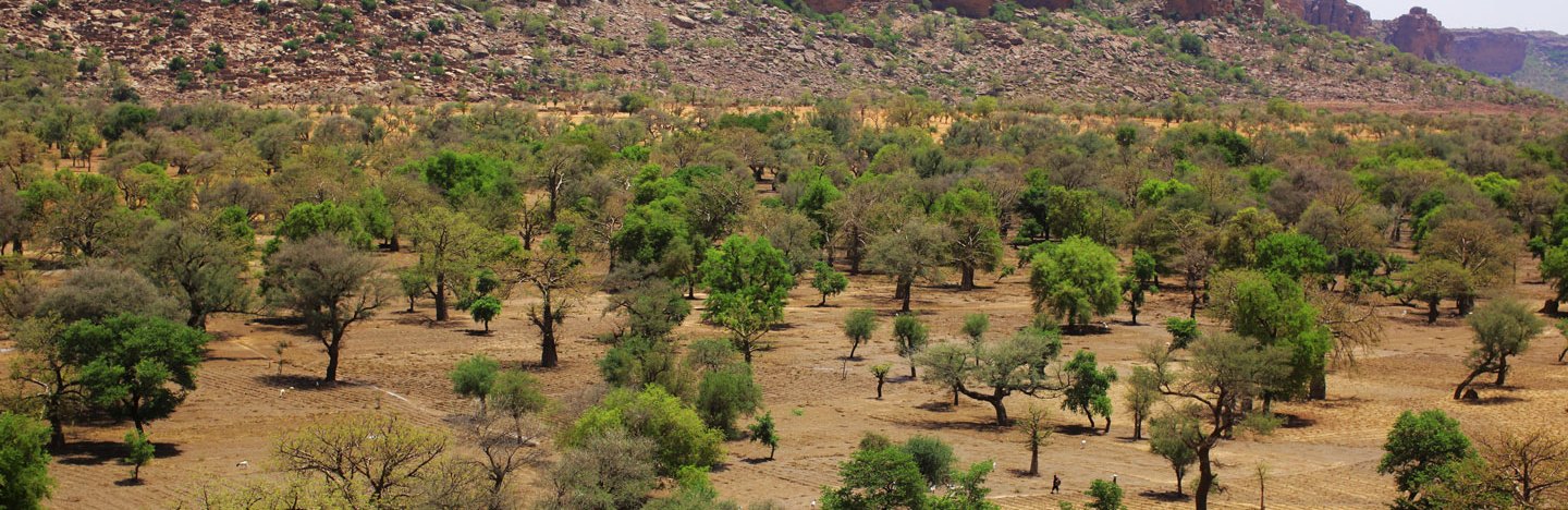 photo of the Sahel landscape in Mali