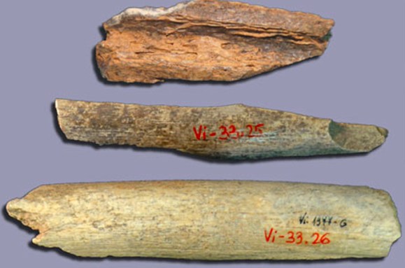 fragments of Neandertal bones