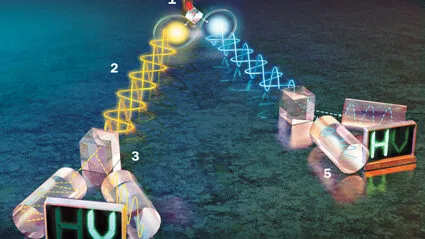 A spooky link | Illustration by Nicolle Rager Fuller