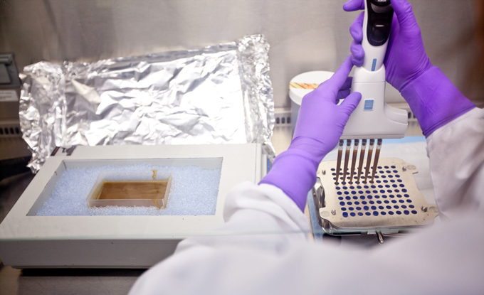 photo of a researcher's hands as they pipette fecal transplant material into pill slots