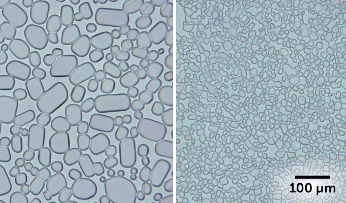 microscope images of large ice crystal growth compared to small ice crystal growth
