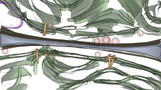 molecular syringes illustrated poking into cell membranes