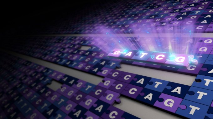 rows of puzzle pieces with the letters A, T, C and G and one section highlighted