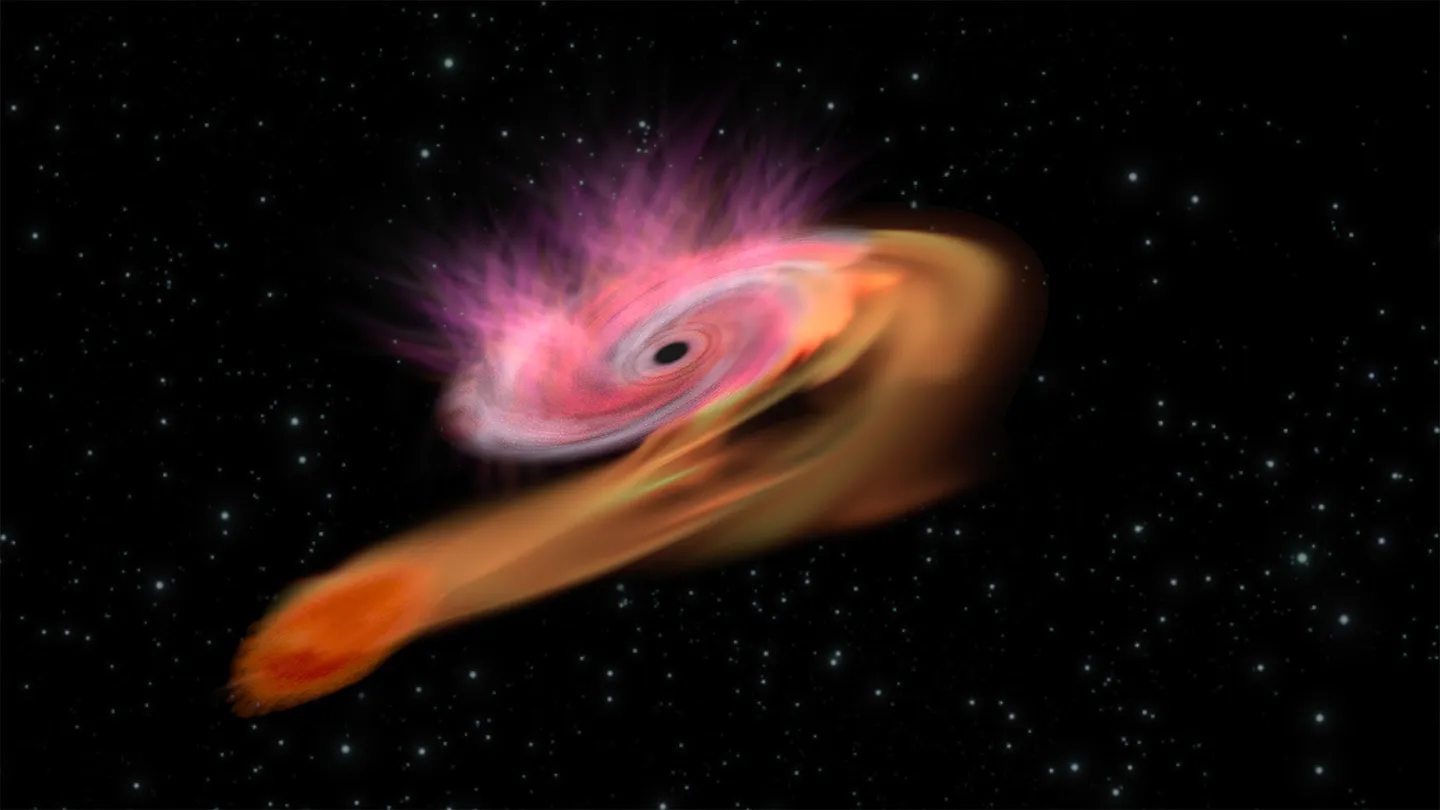 High-energy neutrinos may come from black holes ripping apart stars
