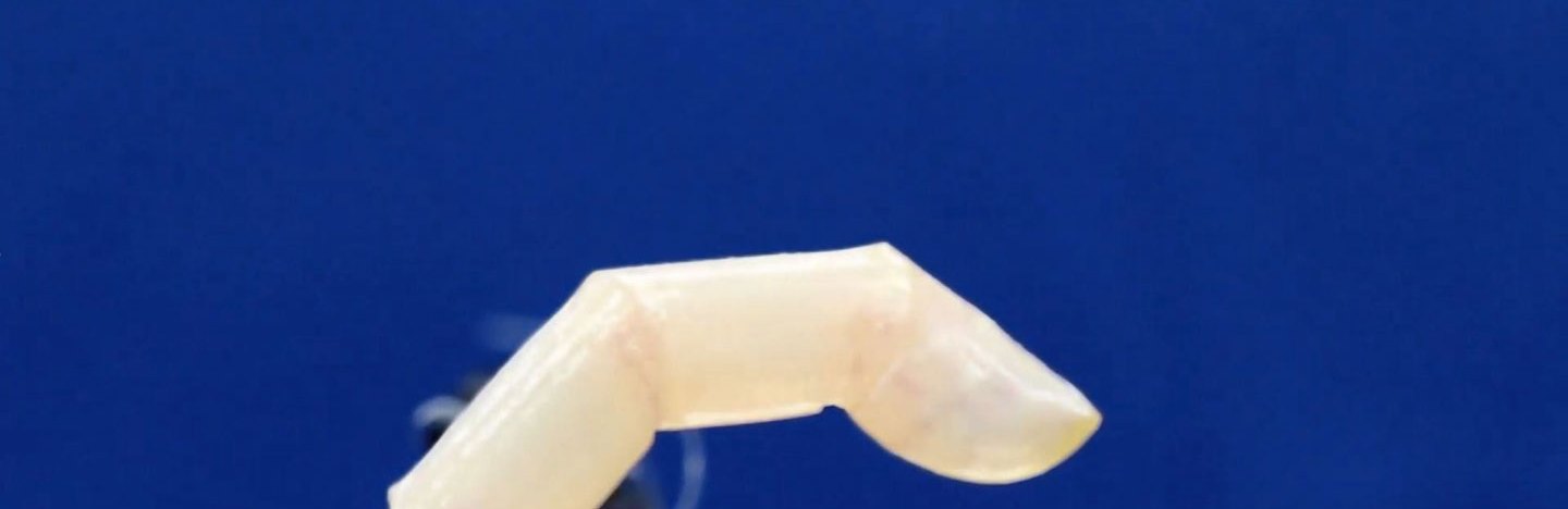 a curled robotic finger covered in living human skin against a blue backdrop