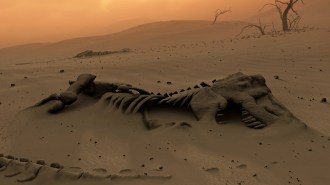 an illustration of a dinosaur skeleton partly buried by debris