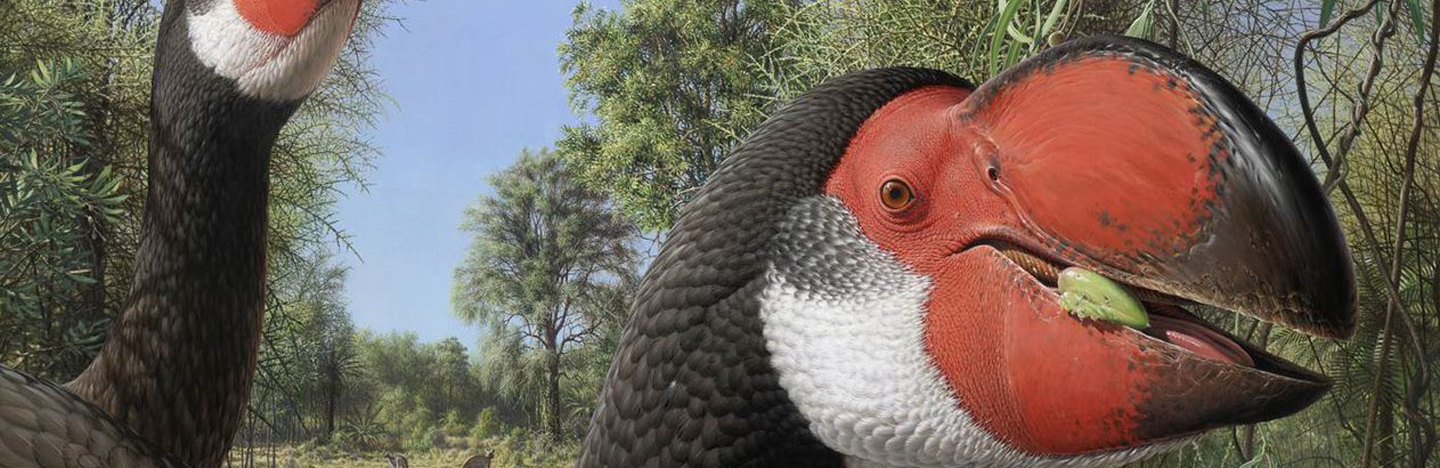 illustration of 'demon ducks' eating in a grassland. The ducks are huge with red and black beaks