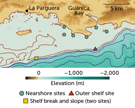 A map of the coast of Puerto Rico around La Parguera and Guánica Bay shows six near shore study sites indicated by green circles, an outer shelf site indicated by a red triangle, and two sites at the shelf break and slope indicated by one yellow square.