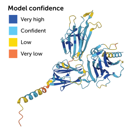 predicted model of gametocyte surface antigen 48/45