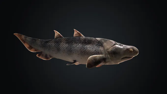 reconstruction of Shenacanthus vermiformis