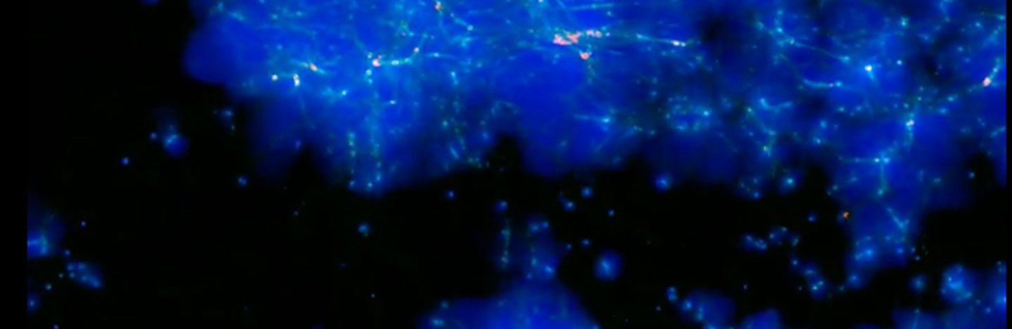 a snapshot of a computer simulation of the early universe, showing radiation as blue clouds emanating from dense filaments of stars and galaxies (shown as white specks)